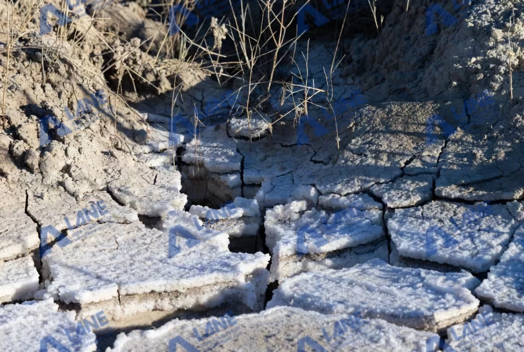 SOP fertilizer for saline soils