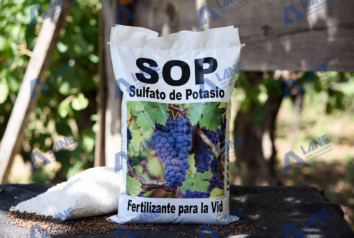 Maximize Grape Yields with SOP Fertilizer: SOP Fertilizer for Grapes Comprehensive Guide