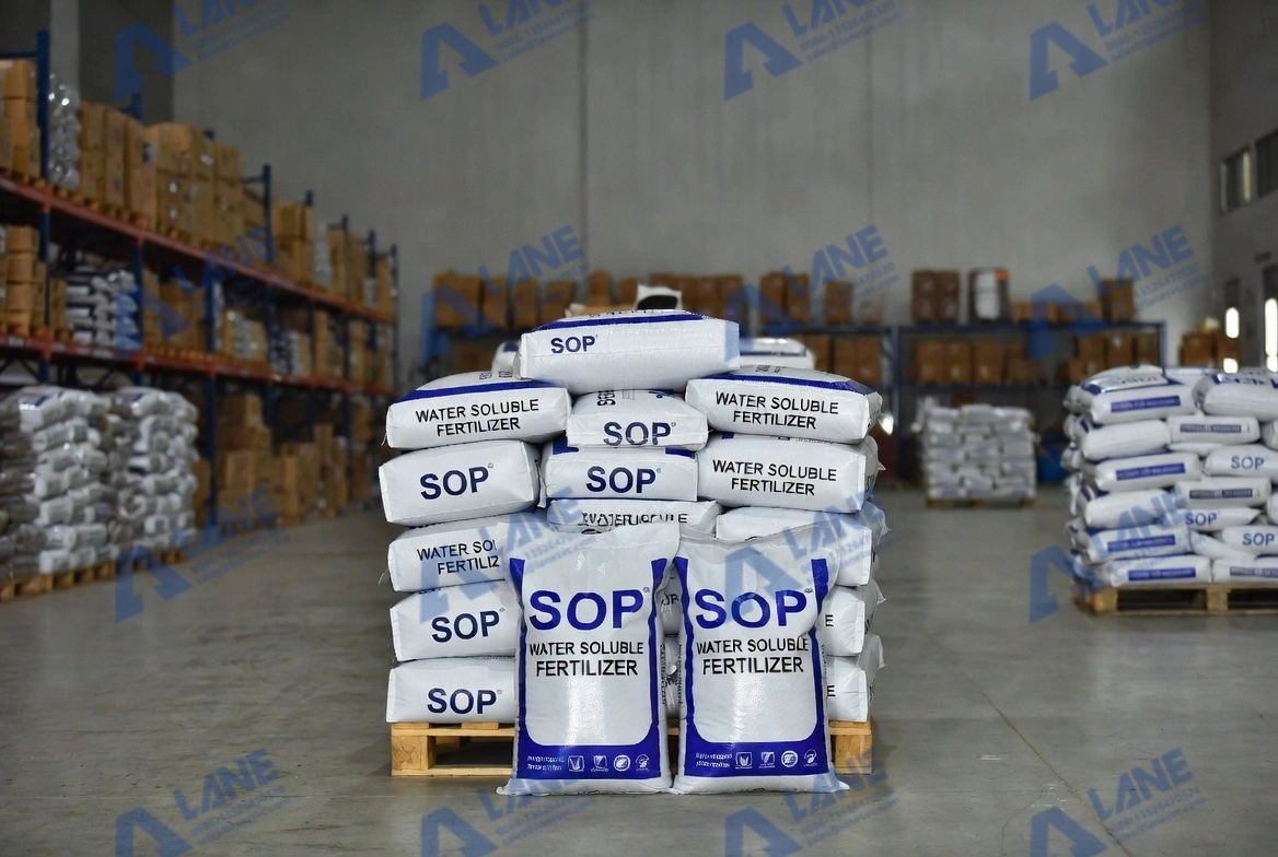 The Unmatched Benefits of Using SOP Water Soluble Fertilizer in Modern Agriculture