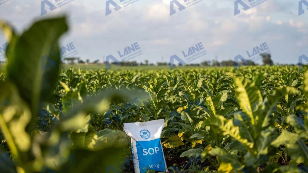 SOP Fertilizer Crop Quality Enhancements