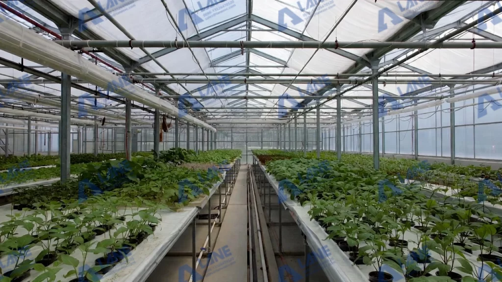 SOP fertilizer production for high value horticulture