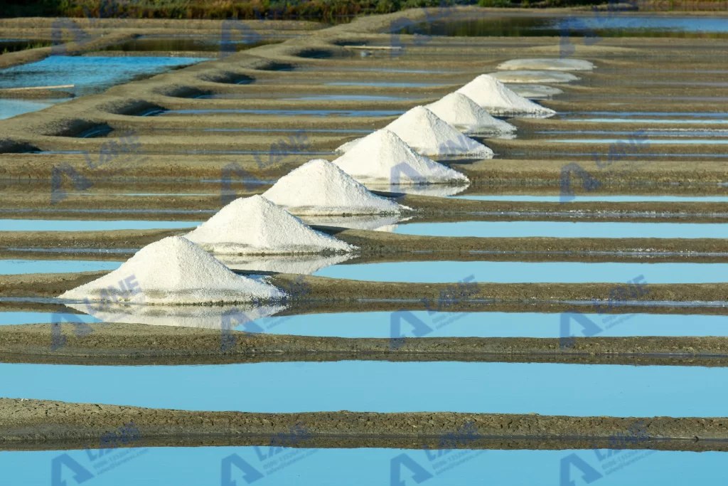 brine evaporation ponds for fertilizer